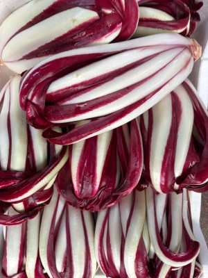 Foto Radicchio Tardivo Lavorazione In Polistirolo Origine Italia Marchio Scattolin  2